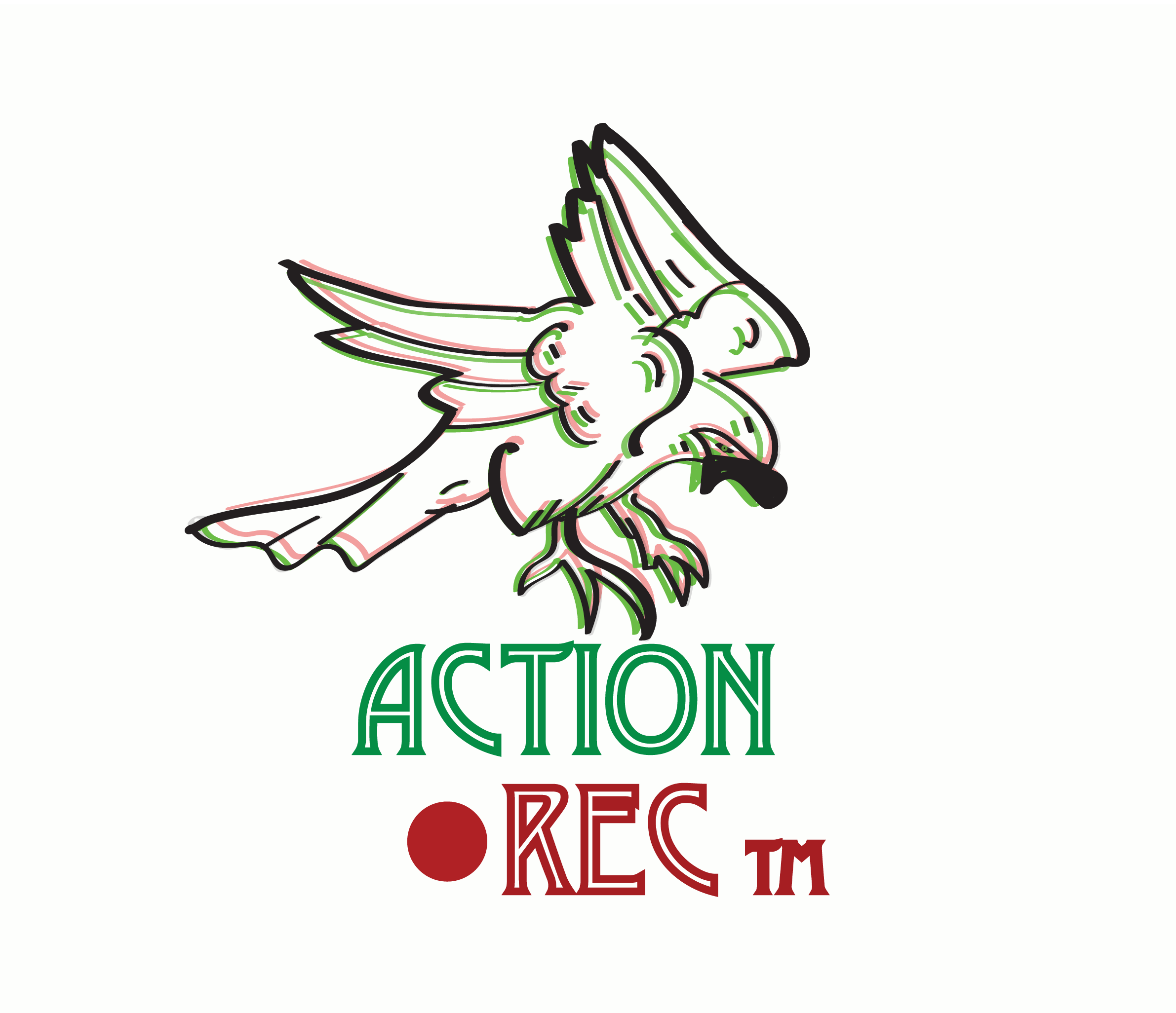 'A Call to ActionRec'